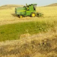 کمباین 98بکار در حد|خودرو سنگین|سنندج, |دیوار