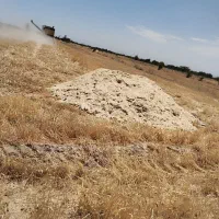 فروش کاه جو و دانه جو