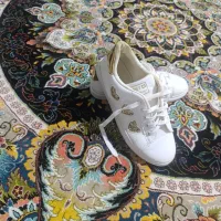 کفش زنانه|کیف، کفش، کمربند|اسفراین, |دیوار