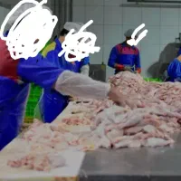 به۳ نیروی ماهر اقا در کار قطعه بندی مرغ نیازمندیم