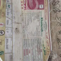 فرش شش متری|فرش|شیراز, حافظیه|دیوار