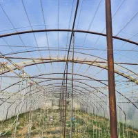 فروش 1عددگلخانه 400متری