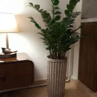 گل زاموفیلیا مصنوعی وارداتی