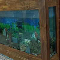 آکواریم بزرگ با میز|ماهی|صباشهر, |دیوار