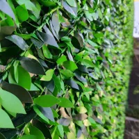 فنس برگی بهترین پوشش برای دیوارها و حصارها|گل مصنوعی|آبادان, |دیوار