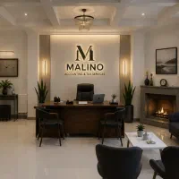 خدمات حسابداری و مالیاتی برون سپاری، شرکت Malino