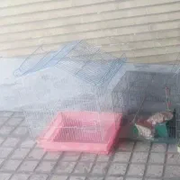 قفس 2عدد