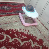 روروک بچه