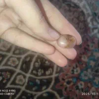 سنگ اصل بفروش می‌رسد دونه ای ۲۵۰|جواهرات|تبریز, |دیوار