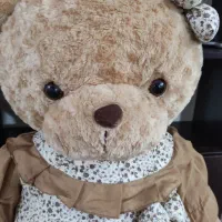 خرس بزرگ|اسباب‌بازی بچه|گرگان, |دیوار