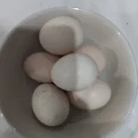 تخم مرغ لاری