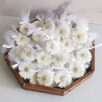 شمع گل بابونه