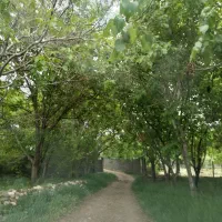 باغ-گردو
