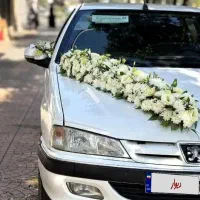 پارس LXتیوفایو ۱۴۰۰در حدوکم کاردریچه سیمی