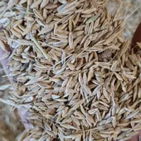 فروش عمده جو محلی فقط بالای ۱۰ تن|لوازم جانبی حیوانات|مرودشت, بیست متری بیمارستان|دیوار