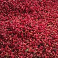 زرشک و شیره انگور قاینات