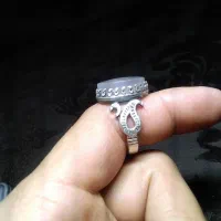 شجر بوته|جواهرات|مهاباد (آذربایجان غربی), |دیوار