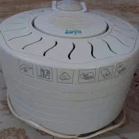 خشک کن میوه سایا