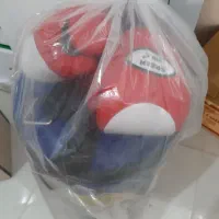 کیسه بوکس|تجهیزات ورزشی|مشهد, هدایت|دیوار