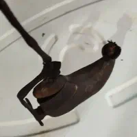 اسکناس قدیمی و سکه|کلکسیون سکه، تمبر، اسکناس|مشهد, نظام دوست|دیوار