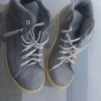 کفش|کیف، کفش، کمربند|میاندوآب, |دیوار