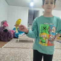 فروش یک عدد مرغ عشق اهلی معاوضه  با فنچ|پرنده|شاهین دژ, |دیوار