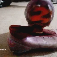 کفش نایکی اورجینال