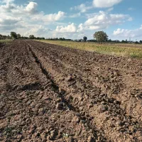 زمین باغی|فروش زمین و ملک کلنگی|گرگان, |دیوار