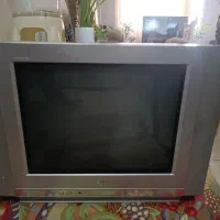 تلویزیون|تلویزیون و پروژکتور|گرگان, |دیوار