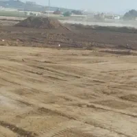 کودگاو|خدمات باغبانی و درختکاری|اصفهان, راران|دیوار