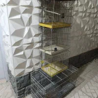 5تا قفس پرنده|لوازم جانبی حیوانات|جاجرود, |دیوار