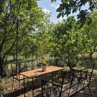 اجاره روزانه/هفتگی/ماهانه ویلا ۷۰ متری در حومه رشت|اجارهٔ کوتاهمدت ویلا و باغ|رشت, حومه رشت|دیوار