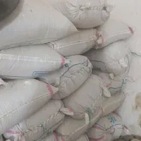 گندم چمران ۲