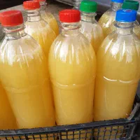 سرکه سیب،آبلیمو،آبغوره|خوردنی و آشامیدنی|گرگان, |دیوار