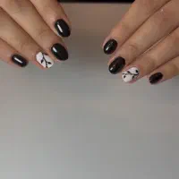 رایگان|اجاق گاز و لوازم برقی پختوپز|فریدونکنار, |دیوار