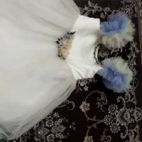 لباس عروسی دخترونه،سالم ونو