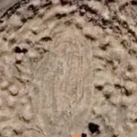 مشاورپسرهستم