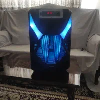 اسپیکر کیمسو 12اینچ