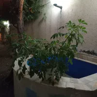 گل یوکا و شفلر|گل و گیاه طبیعی|مشهد, ویلاشهر|دیوار