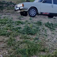 فروش پیکان مدل ۸۳|خودرو سواری و وانت|سنقر, |دیوار