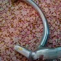 شیراب کاملا سالم