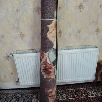 فرش کودک|فرش|زنجان, |دیوار