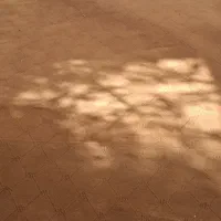 موکت دو عدد تمیز