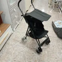 کالسکه عصایی تاینی دلیجان