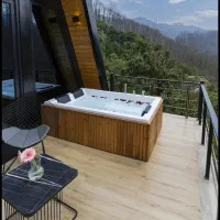 وگذار یک هکتارباغ حاشیه سنتو برای مشارکت|مشارکت در ساخت املاک|گلمکان, |دیوار