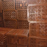 سبدبزرگ|ظروف نگهدارنده، پلاستیکی، یکبارمصرف|کامیاران, |دیوار