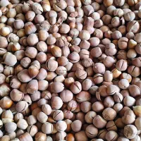 فندق.بادام.کشمش