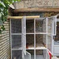 قفس جفت کن کبوتر ۹ تایی|لوازم جانبی حیوانات|فلاورجان, |دیوار