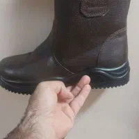 پوتین ایمنی بهشتیان