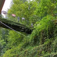 اجاره-حیاط-ویلایی